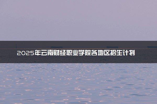 2025年云南财经职业学院各地区招生计划及各专业分省招生人数是多少？(附学费及专业代码)