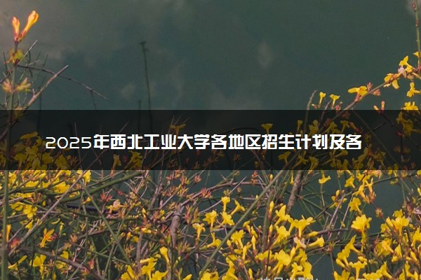 2025年西北工业大学各地区招生计划及各专业分省招生人数是多少？(附学费及专业代码)