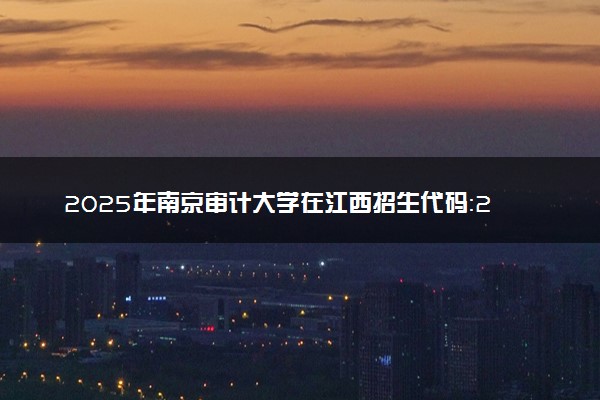 2025年南京审计大学在江西招生代码：2317 专业代码及报考指南