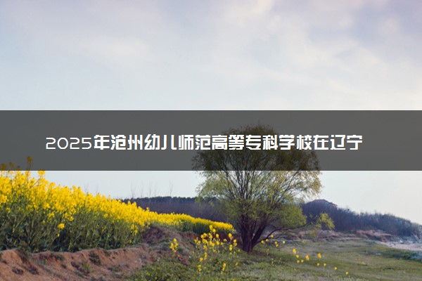 2025年沧州幼儿师范高等专科学校在辽宁招生代码：4259 专业代码及报考指南