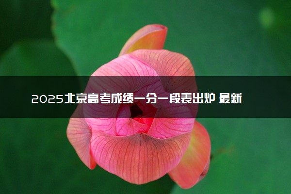 2025北京高考成绩一分一段表出炉 最新位次排名【完整版】