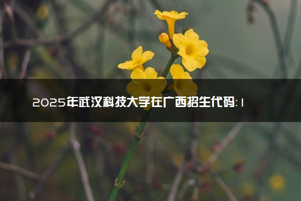 2025年武汉科技大学在广西招生代码：10488 专业代码及报考指南