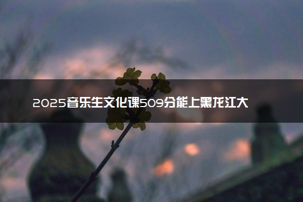 2025音乐生文化课509分能上黑龙江大学吗