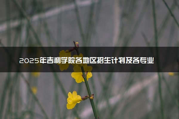 2025年吉利学院各地区招生计划及各专业分省招生人数是多少？(附学费及专业代码)