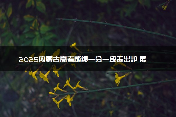 2025内蒙古高考成绩一分一段表出炉 最新位次排名【完整版】