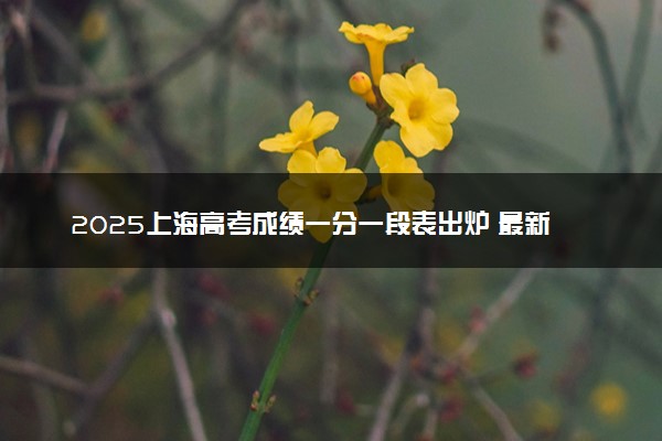 2025上海高考成绩一分一段表出炉 最新位次排名【完整版】