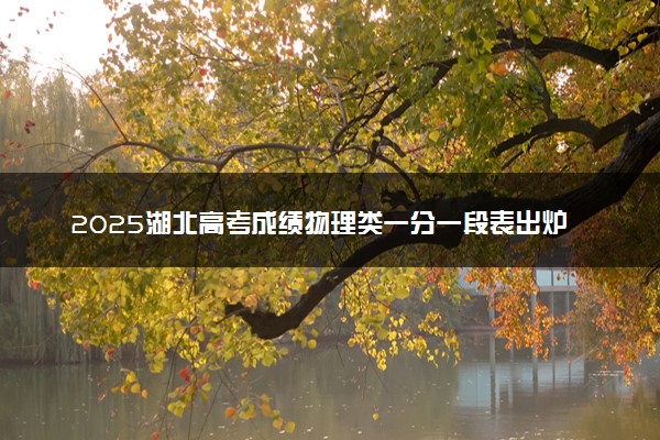 2025湖北高考成绩物理类一分一段表出炉 最新位次排名