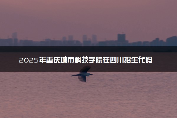 2025年重庆城市科技学院在四川招生代码及专业代码 重庆城市科技学院四川代码是多少？怎么查询？