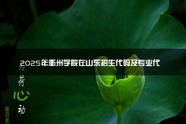 2025年衢州学院在山东招生代码及专业代码 衢州学院山东代码是多少？怎么查询？