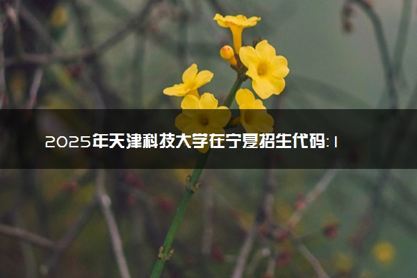 2025年天津科技大学在宁夏招生代码：1220 专业代码及报考指南