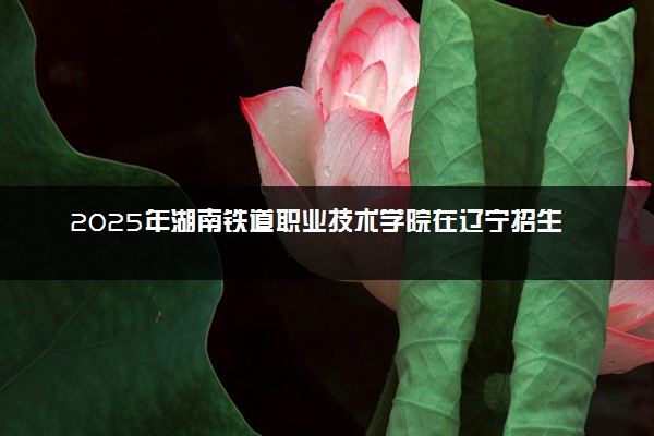 2025年湖南铁道职业技术学院在辽宁招生代码及专业代码 湖南铁道职业技术学院辽宁代码是多少？怎么查询？