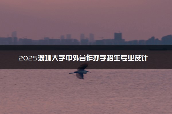 2025深圳大学中外合作办学招生专业及计划 学费多少钱