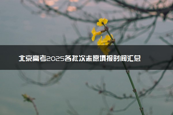 北京高考2025各批次志愿填报时间汇总 截止日期什么时候