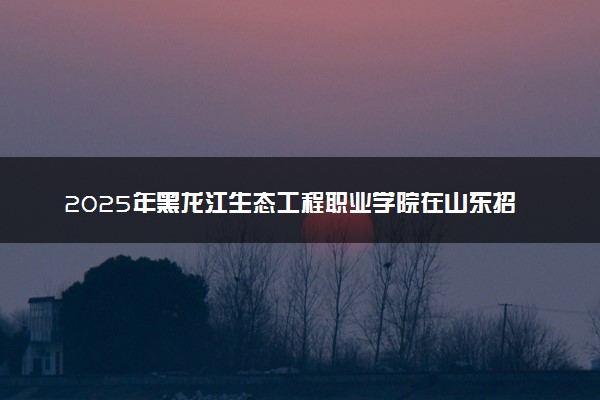 2025年黑龙江生态工程职业学院在山东招生代码：D731 专业代码及报考指南
