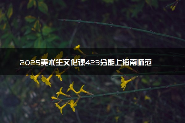 2025美术生文化课423分能上海南师范大学吗