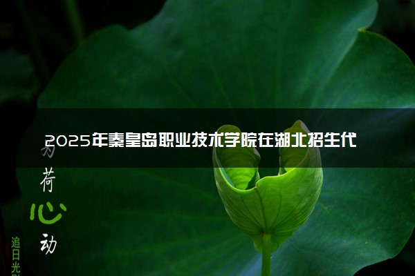 2025年秦皇岛职业技术学院在湖北招生代码：M144 专业代码及报考指南