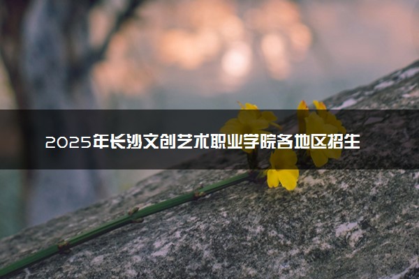 2025年长沙文创艺术职业学院各地区招生计划及各专业分省招生人数是多少？(附学费及专业代码)