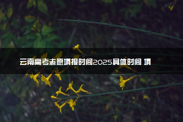 云南高考志愿填报时间2025具体时间 填报系统入口网址