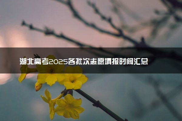 湖北高考2025各批次志愿填报时间汇总 截止日期什么时候