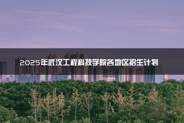 2025年武汉工程科技学院各地区招生计划及各专业分省招生人数是多少？(附学费及专业代码)