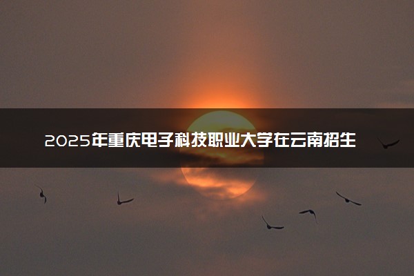 2025年重庆电子科技职业大学在云南招生代码及专业代码 重庆电子科技职业大学云南代码是多少？怎么查询？