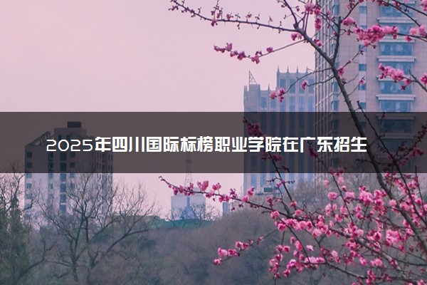 2025年四川国际标榜职业学院在广东招生代码及专业代码 四川国际标榜职业学院广东代码是多少？怎么查询？