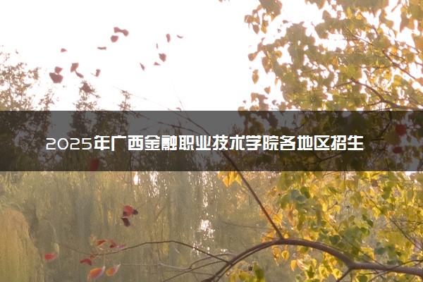 2025年广西金融职业技术学院各地区招生计划及各专业分省招生人数是多少？(附学费及专业代码)