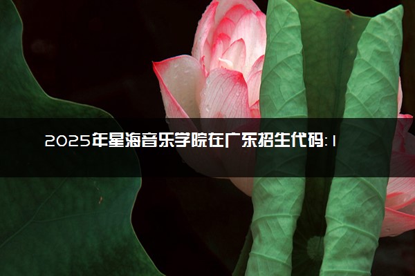 2025年星海音乐学院在广东招生代码：10587 专业代码及报考指南