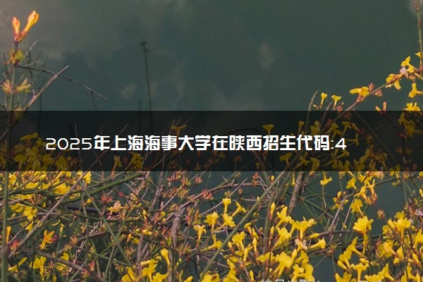 2025年上海海事大学在陕西招生代码：4006 专业代码及报考指南