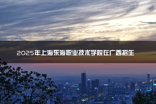 2025年上海东海职业技术学院在广西招生代码及专业代码 上海东海职业技术学院广西代码是多少？怎么查询？