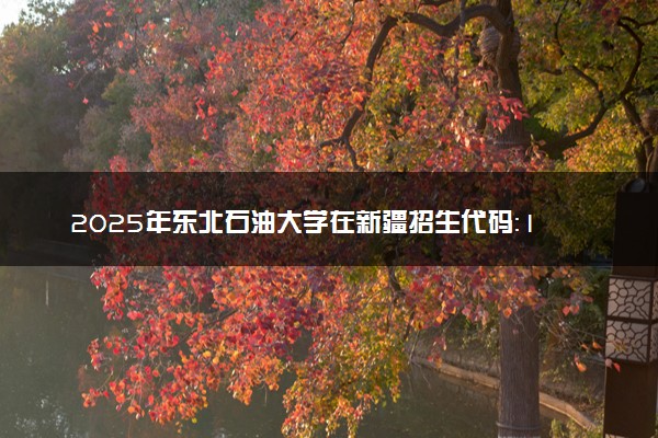 2025年东北石油大学在新疆招生代码：1179 专业代码及报考指南