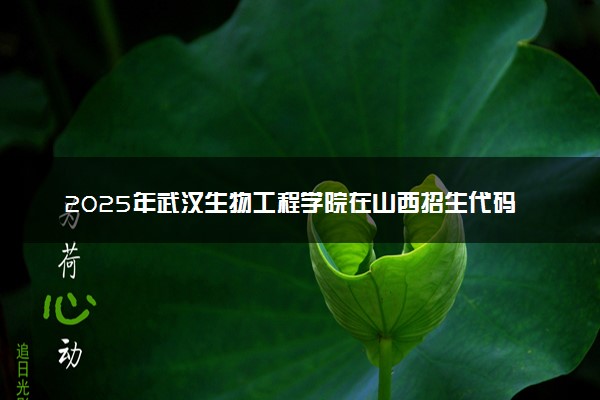 2025年武汉生物工程学院在山西招生代码：5330 专业代码及报考指南