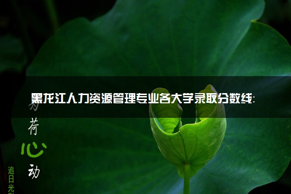 黑龙江人力资源管理专业各大学录取分数线：最低201分能上 开设院校及位次
