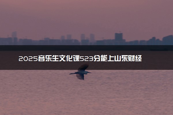 2025音乐生文化课523分能上山东财经大学吗