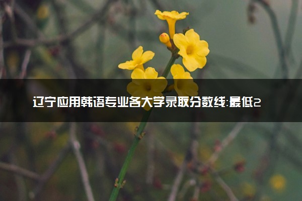 辽宁应用韩语专业各大学录取分数线：最低206分能上 开设院校及位次