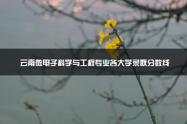 云南微电子科学与工程专业各大学录取分数线：最低452分能上 开设院校及位次