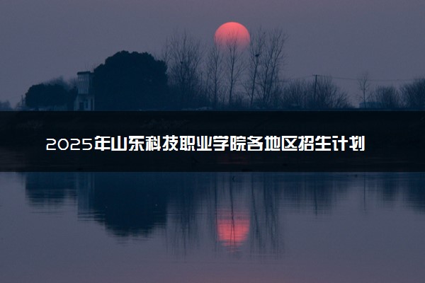 2025年山东科技职业学院各地区招生计划及各专业分省招生人数是多少？(附学费及专业代码)
