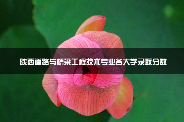 陕西道路与桥梁工程技术专业各大学录取分数线：最低228分能上 开设院校及位次