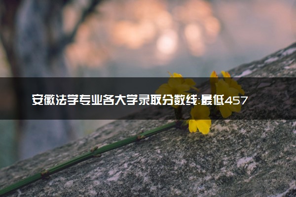 安徽法学专业各大学录取分数线：最低457分能上 开设院校及位次