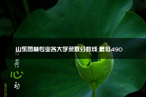 山东园林专业各大学录取分数线：最低490分能上 开设院校及位次