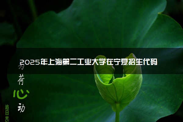 2025年上海第二工业大学在宁夏招生代码及专业代码 上海第二工业大学宁夏代码是多少？怎么查询？