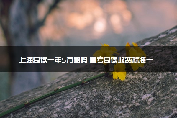 上海复读一年5万够吗 高考复读收费标准一览