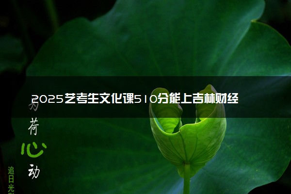 2025艺考生文化课510分能上吉林财经大学吗