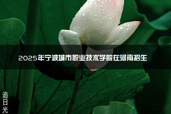 2025年宁波城市职业技术学院在河南招生代码及专业代码 宁波城市职业技术学院河南代码是多少？怎么查询？