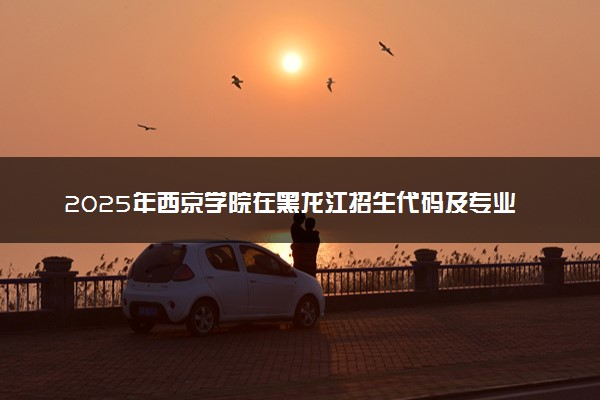 2025年西京学院在黑龙江招生代码及专业代码 西京学院黑龙江代码是多少？怎么查询？