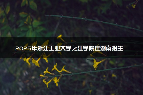 2025年浙江工业大学之江学院在湖南招生代码及专业代码 浙江工业大学之江学院湖南代码是多少？怎么查询？