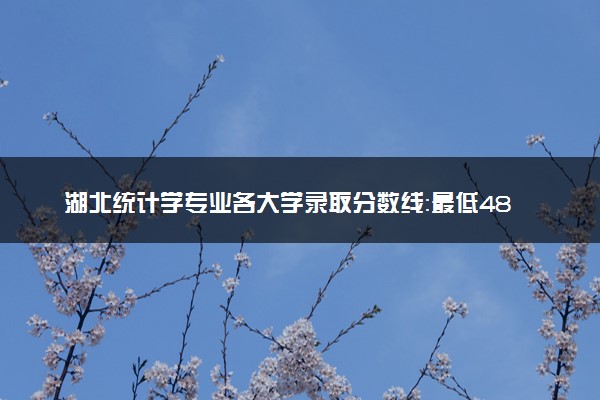 湖北统计学专业各大学录取分数线：最低486分能上 开设院校及位次