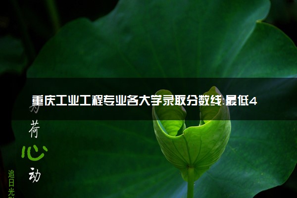 重庆工业工程专业各大学录取分数线：最低428分能上 开设院校及位次