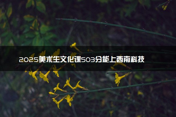 2025美术生文化课503分能上西南科技大学吗