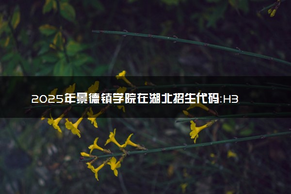 2025年景德镇学院在湖北招生代码：H325 专业代码及报考指南